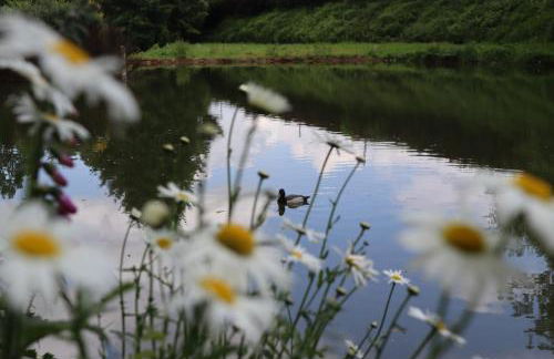 Gite sous-terre - Foto 25