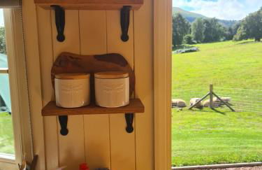 Shepherd's Hut in heart of the Brecon Beacons - Photo 29