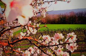 La perle de Gordes - Photo 72