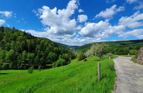 Am Klosterviertel - Foto 28