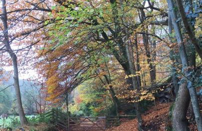 Combe House Hotel - Foto 15