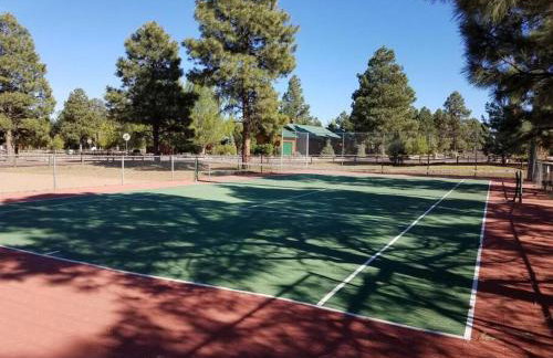 Cabin with Wild Horses, Fireplace, Dog Friendly & StarLink - Foto 47