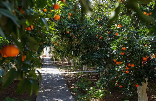 CottonClub Villas - Foto 16