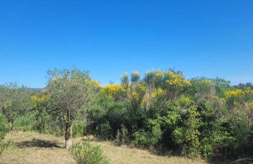 Villa With Pool & Views - Foto 64