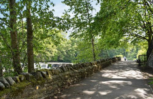 Friar's Corner - Foto 19