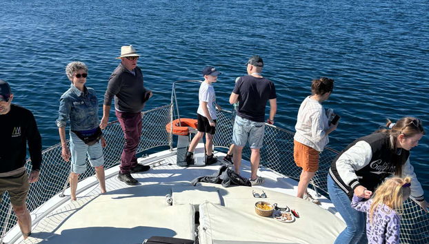 Contemplando i delfini dall'imbarcazione