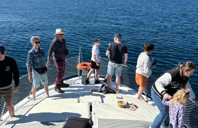 Balade en bateau dans la baie d'Estepona - Photo 3