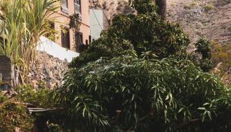 Casa rural Los Madroños - Foto 2, Garden