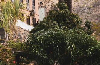 Casa rural Los Madroños - Photo 2