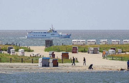 Strandläufer - Foto 20