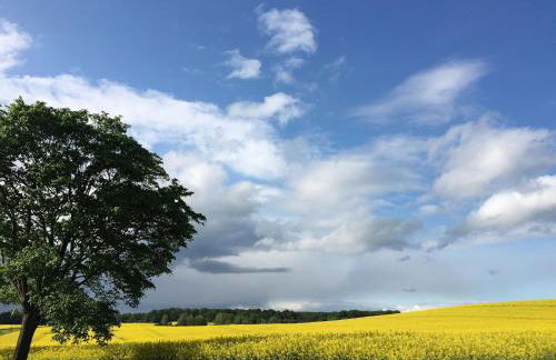 Ferienhaus in Neu Poserin for 5 Personen - Foto 44