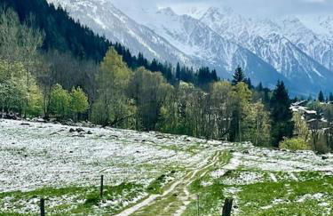 Large peaceful chalet for mountain adventures! Perfect for Flégère and Grand Montet skiing - Foto 49