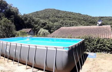 La Clau Cévenole studio - Foto 1