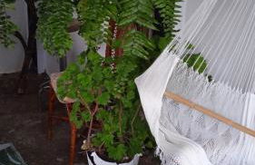 Casa Nieves de Mario - Foto 43