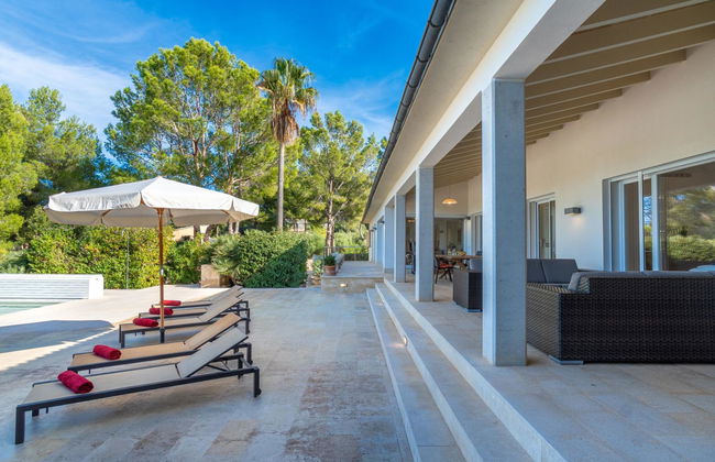 Orquidea 34 - Photo 38