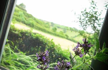 The Beech Hut - Peaceful countryside retreat - Foto 11