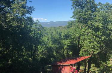 La bastide de Mauragne - Gîte les Iris - Photo 28