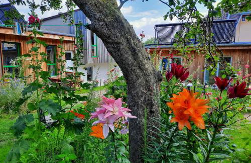 Apartments Sonne am Sund - Photo 79