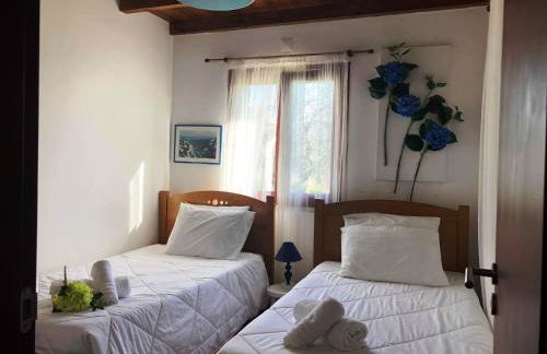 Quinta da Ti Júlia - Foto 4