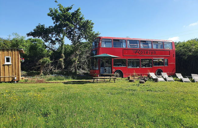 Double Decker Bus on an Alpaca Farm Sleeps 8 - Foto 62