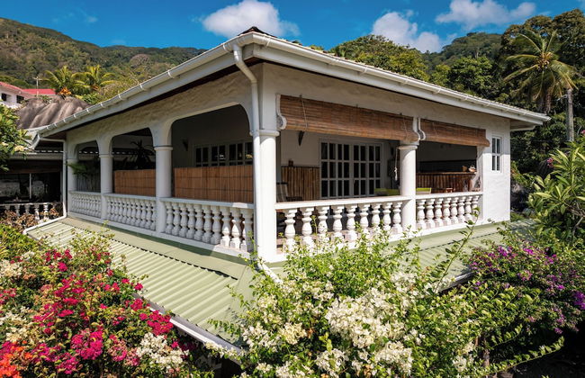 Beau Bamboo - Foto 72