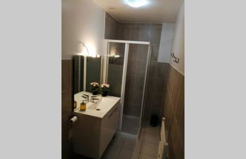 Appart'Hôtel Lagnieu - Foto 17