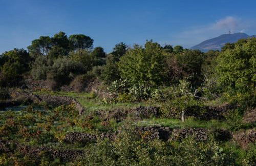 Casa Museo A' Rina - Foto 16