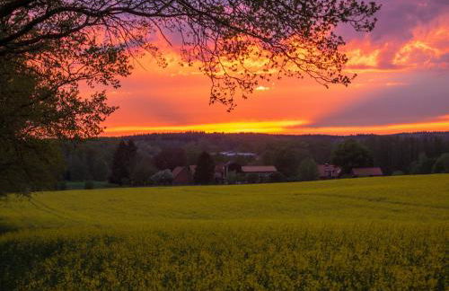 Gästehaus Bleckmar - Foto 31