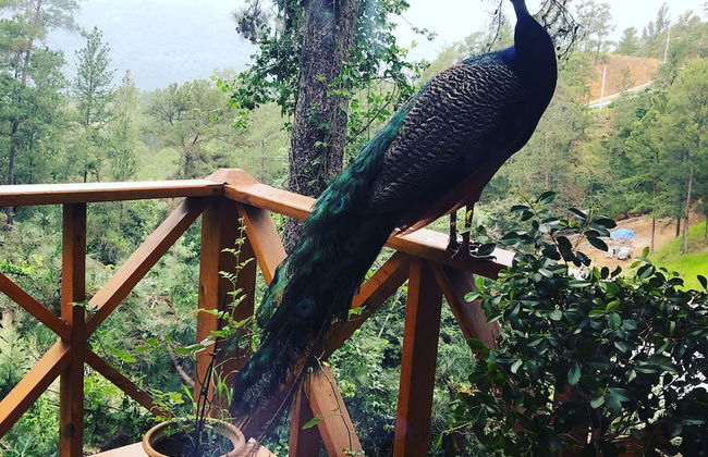 Casa de Montaña Villa Maya - Foto 4