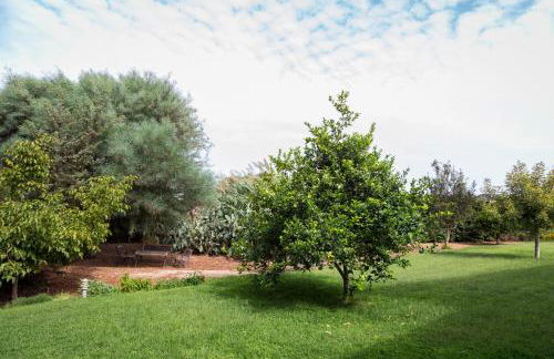 Villa Dafne - Foto 39