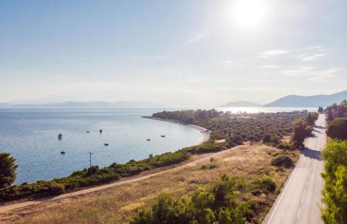 Heracles Guesthouse - Photo 31