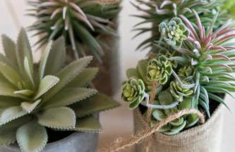 Ag Eden Resort - Foto 75