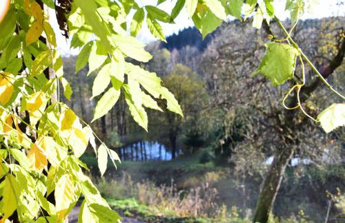 Studio Gościnne ANTEK - Foto 33