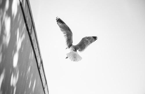 La Vedette - Les Gîtes de KEROUZEC - Mer et centre historique - Foto 20