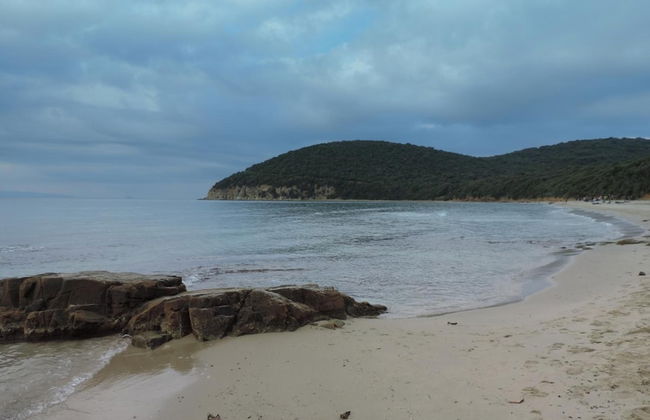 Agriturismo Colli di Travale - Foto 41