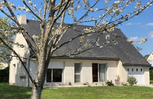 Terre d'ajoncs - Foto 2