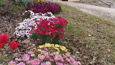 La Vecchia Fontana - Foto 5