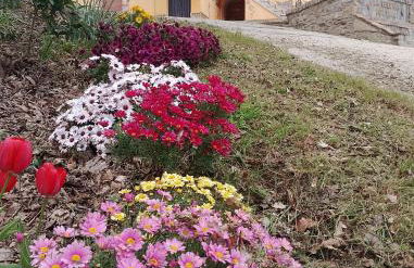 Agriturismo La Vecchia Fontana - Photo 6