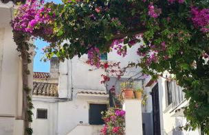 Joivy Dimore Rodiane - U Vucc'l - Foto 16