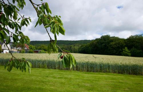 Ferienhaus Plattenberg - Foto 50