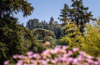 Cottage provencal - Villa saint Marc - Foto 40