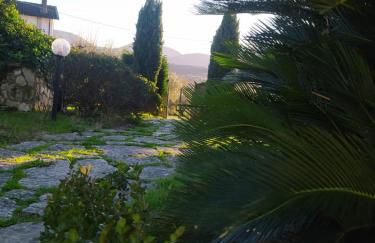 I Giardini Di Eidos - Foto 29