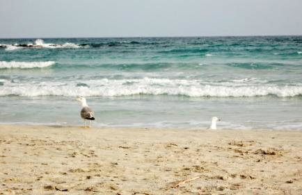 Dimitra's Sea-Crafts Boutique Studios - Photo 57