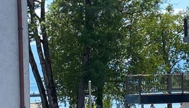 Ferienappartement Simhofer, Seebruck am Chiemsee - Photo 2