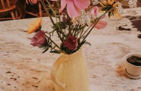 Healing Acres - Foto 6