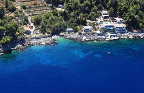 Robinson Merlot - Foto 2