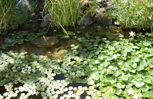 Live the Mid Mod Life at Mariposa Palms - Foto 30