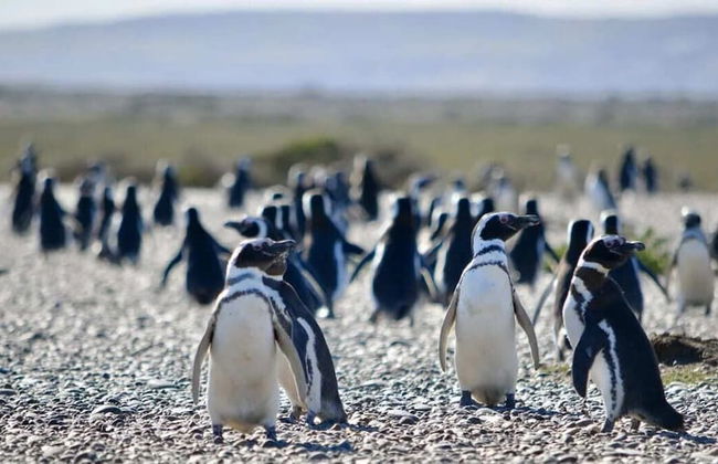 Estancia Monte Dinero - Photo 40