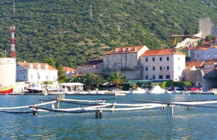 Villa Mali Ston (3588) - Foto 37