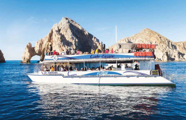 Balade en catamaran dans le golfe de Californie - Photo 7